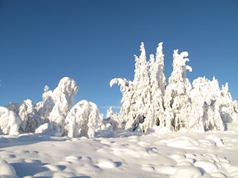 VINTER-O-POSTER